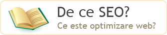 De ce SEO?